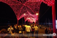 Luzes de Natal no Funchal