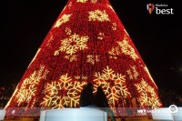 Pinheiro de Natal no Funchal