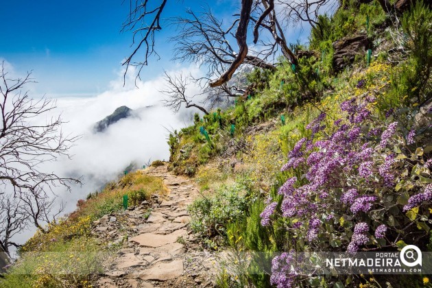 Trail near Pico Ruivo