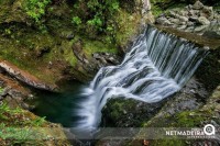 Pelos interiores do Ribeiro Frio