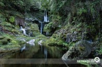 Paisagem nas levadas da Madeira