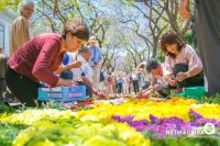 Preparação dos tapetes de flores