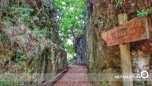 Levada dos Balcões - Ribeiro Frio