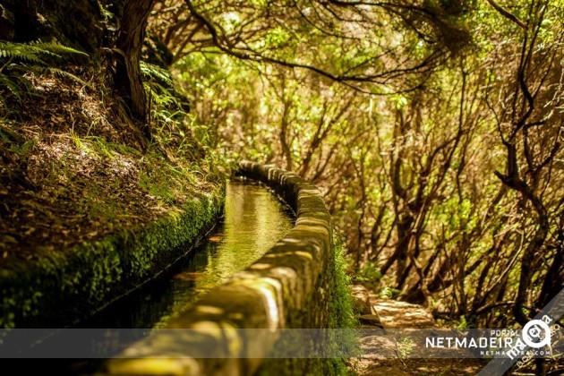 Rabaçal - Levada das 25 Fontes e Risco (PR6)