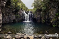 Levada do Alecrim - Ilha da Madeira