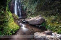 Ribeira das Cales - Ilha da Madeira