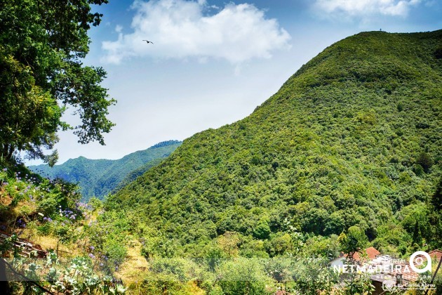 Ribeiro Frio - Ilha da Madeira