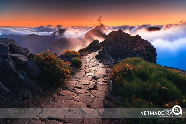 Bloom Sky no Pico do Arieiro