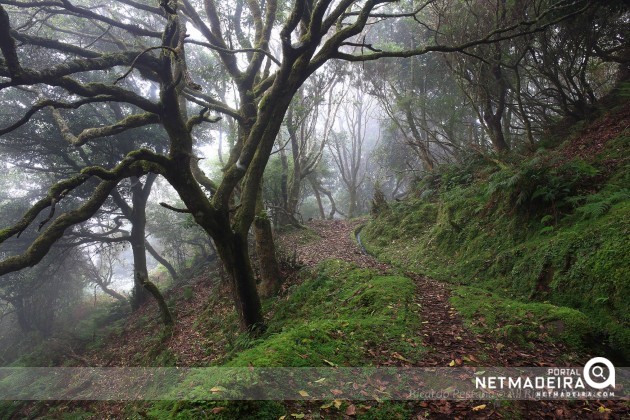 Levada do Brasileiro