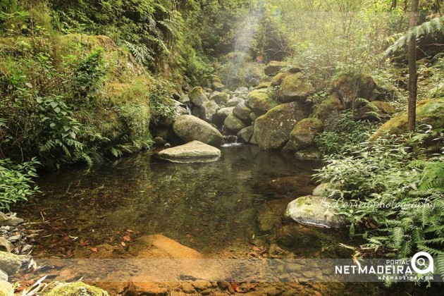 Levada da Silveira - Ilha da Madeira