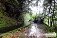 Levada da Central da Ribeira da Janela