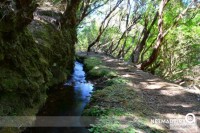 Levada da Fonte do Folhado