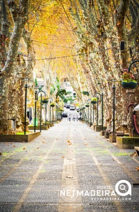 Machico - Ilha da Madeira