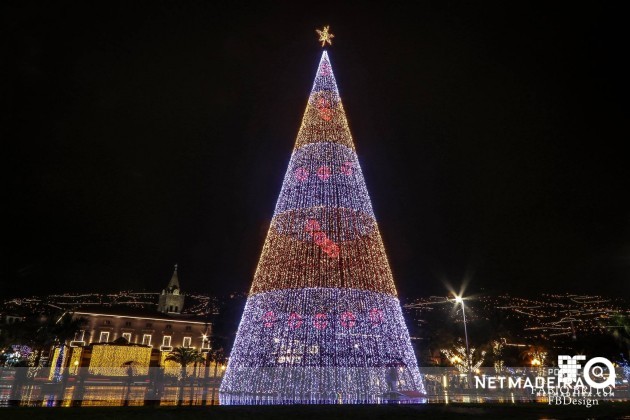 Pinheiro de Natal no Funchal