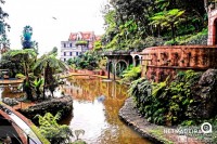 Monte Palace - Madeira The Magical place