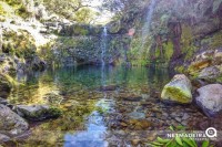 Levada da Portela - Ribeiro Frio