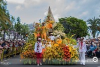 Festa da flor - Ilha da Madeira