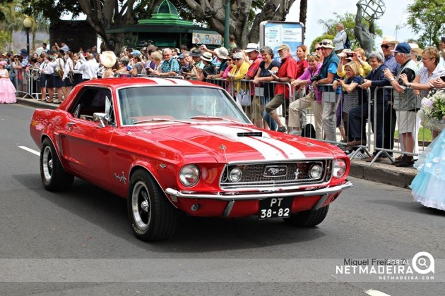 Madeira Classic Mustang