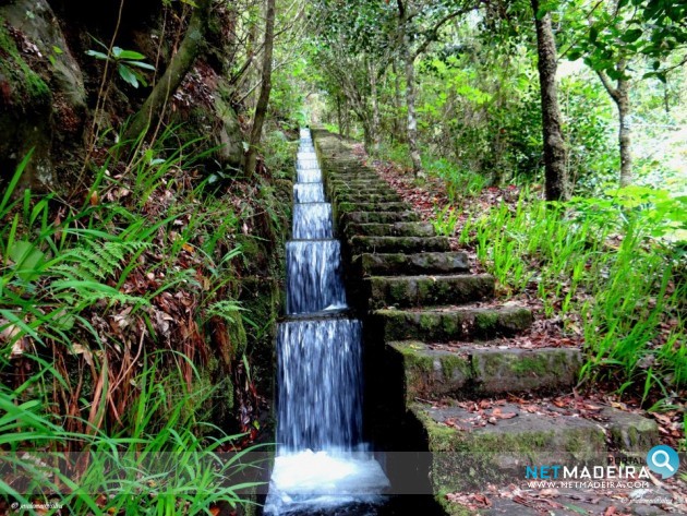 Levada Ribeiro Frio