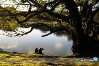 Lagoa no Fanal