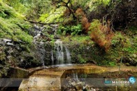 Levada do Castelejo