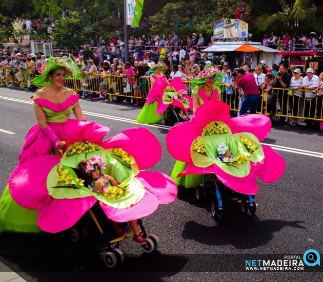 Festa da Flor 2014