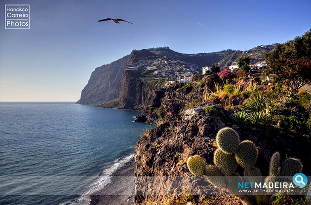 Ilheu de Câmara de Lobos