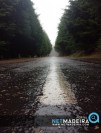 Chuva na serra da Madeira