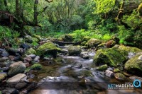 Levada Queimadas