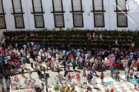 Festa Flor - Muro da Esperança