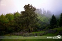 Cercas nas serras da Madeira