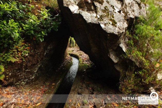 Levada dos Tornos - Lanco Norte