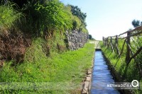 Sinta a natureza na ilha da Madeira