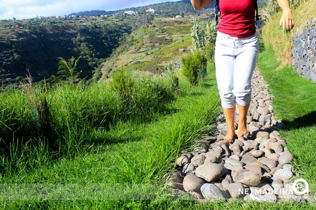 Reflexologia natural aos pés