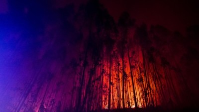 Vinte e nove concelhos de sete distritos do país em risco ‘máximo’ de incêndio